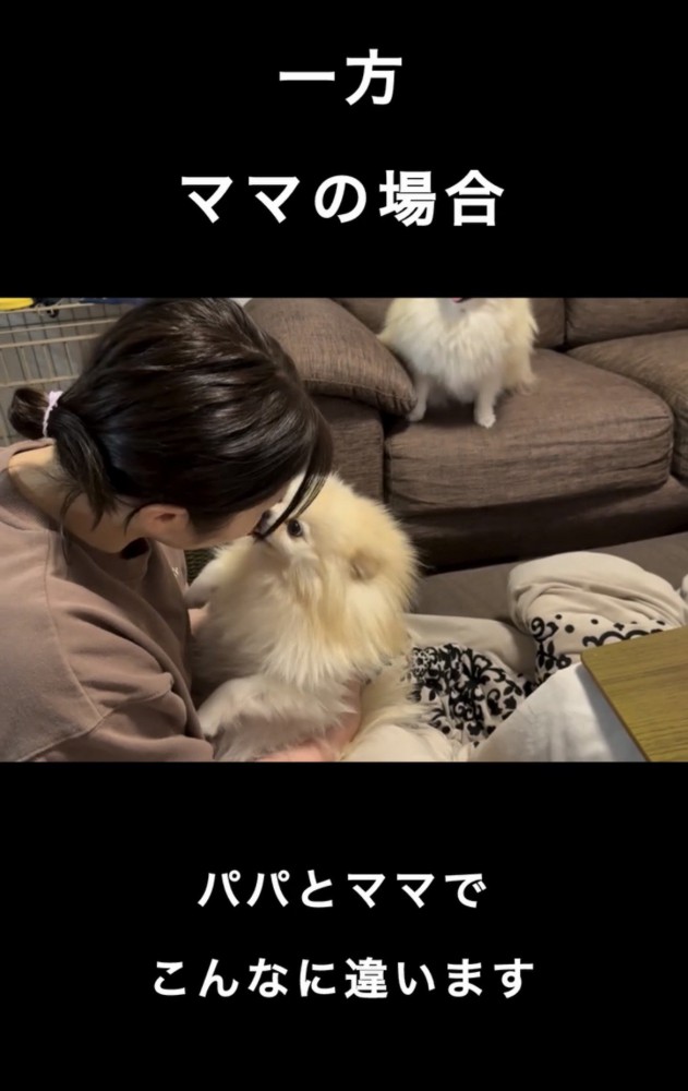 女性にキスされている犬