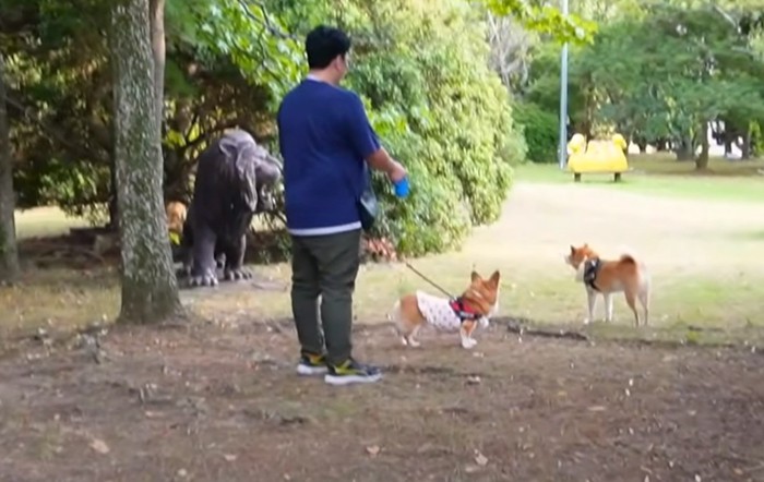 ライオンの像と犬達