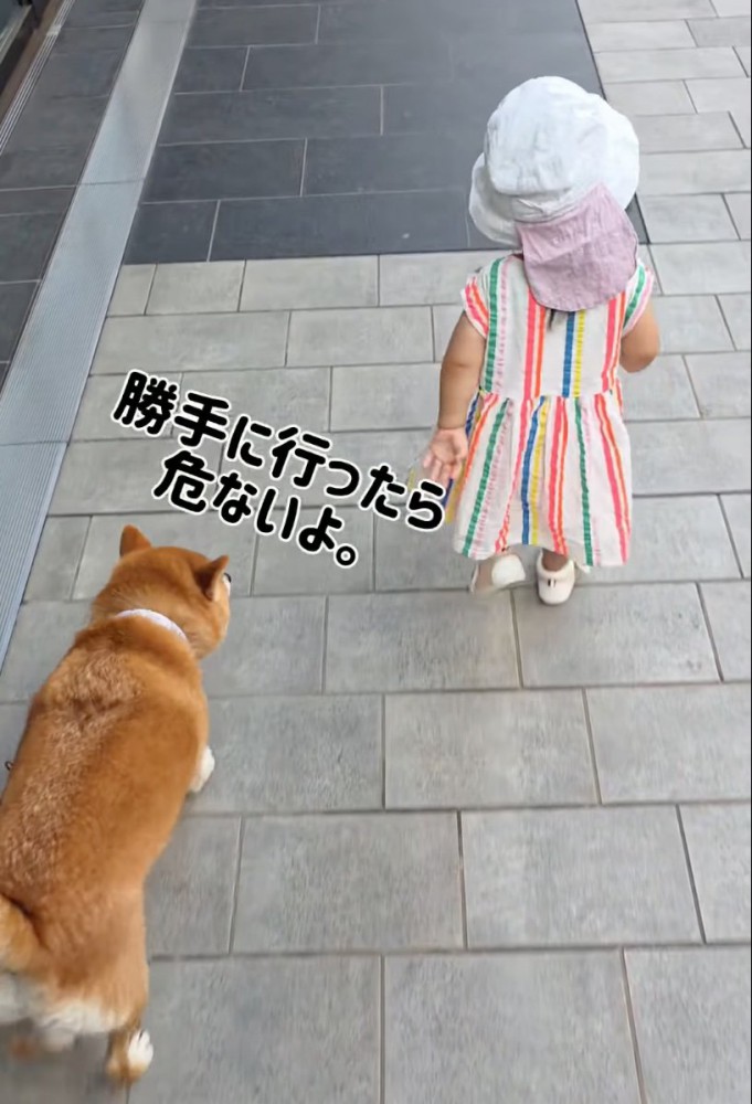 「勝手に行ったら危ないよ」