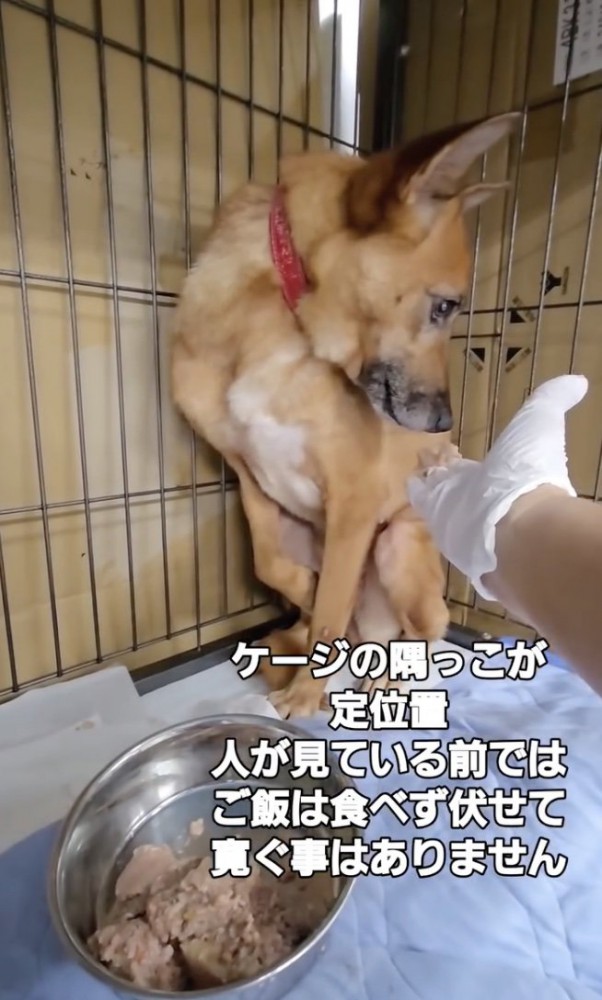 恐怖心が滲み出ています