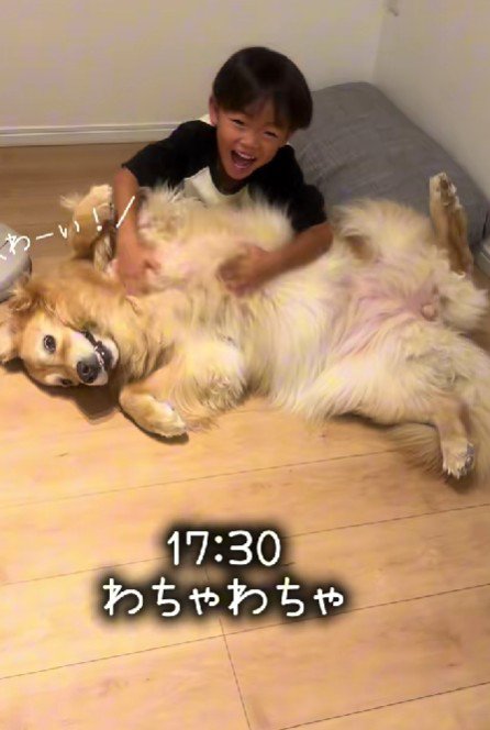 きなこちゃんとの再会