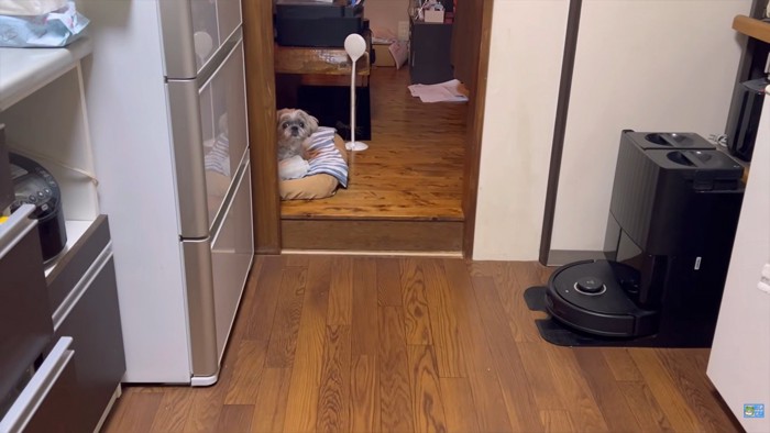 お父さんの帰宅に気付くと…