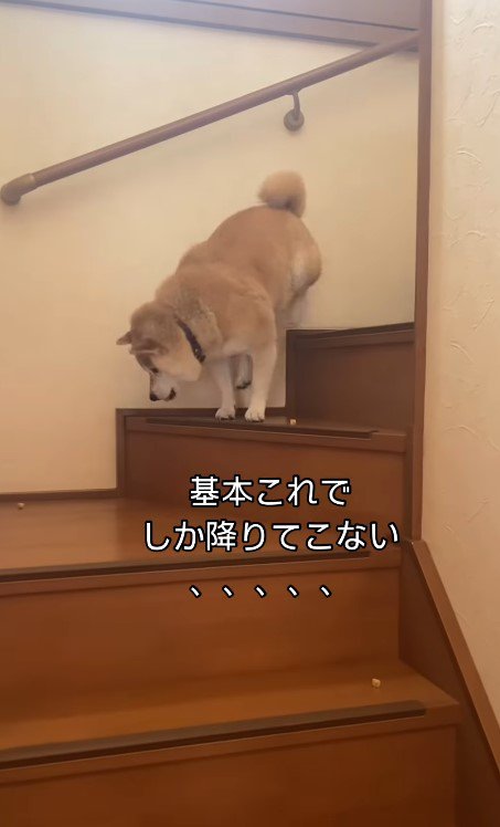 食べながら下へ