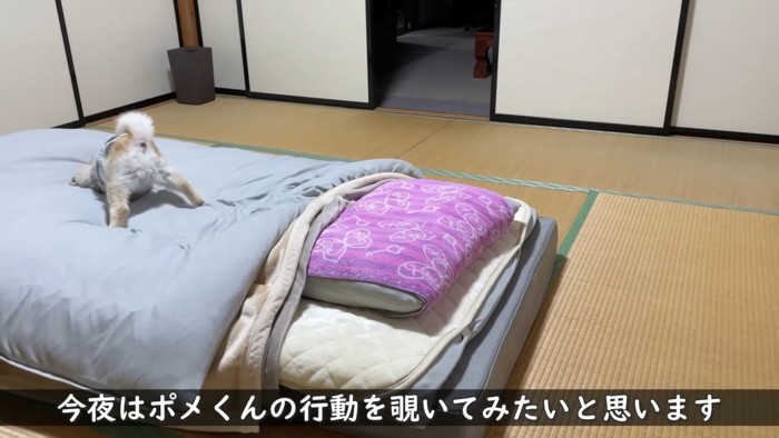 「さて、眠るとするか…」