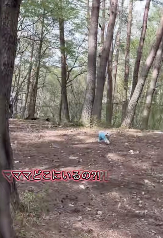 走りながらキョロキョロ