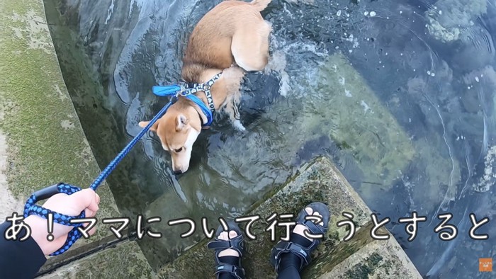 一瞬びっくり！