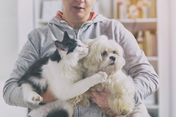 犬と猫を抱く飼い主の女性