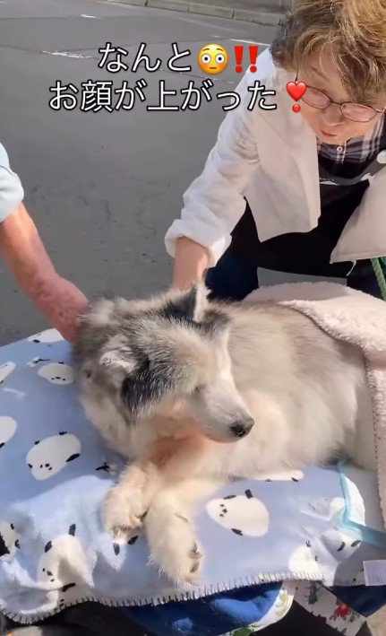 首をぐっと持ち上げた!!