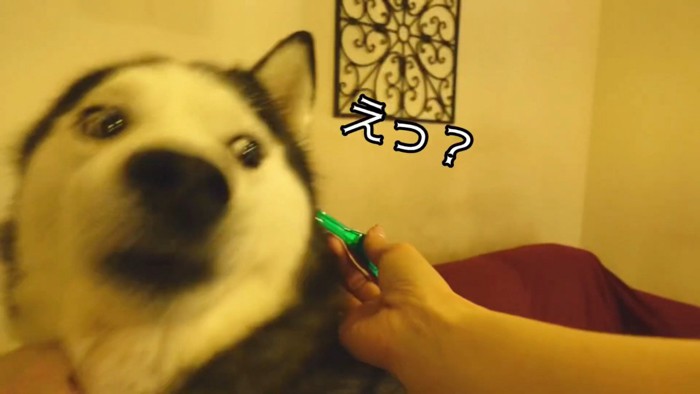 「えっ、まさか薬！？」