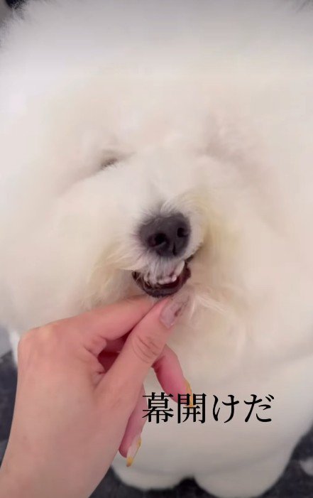 雰囲気もどんどん変化