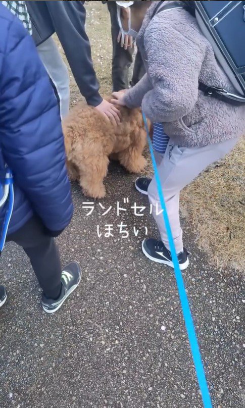 小学生に遭遇したぷぅ太郎⑩