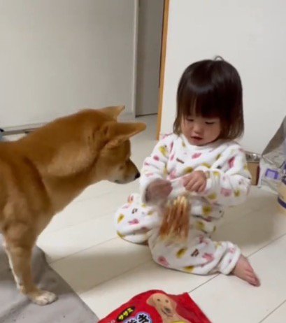 女の子の持っている袋を見つめる犬