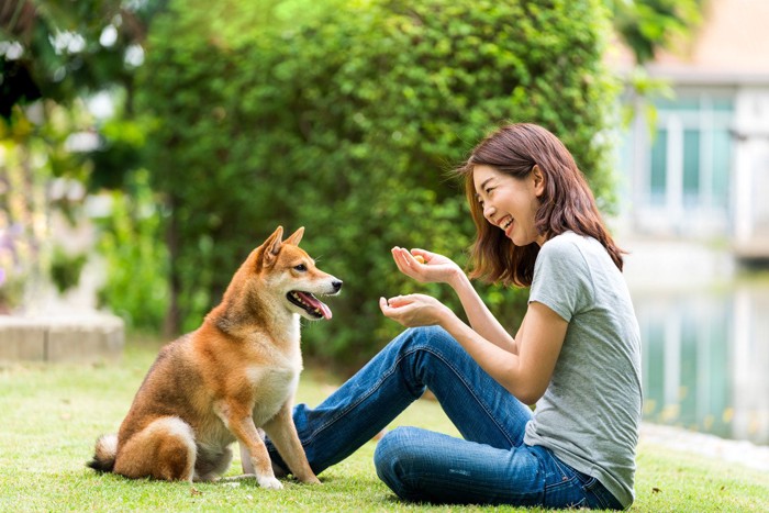 外で戯れる犬と女性