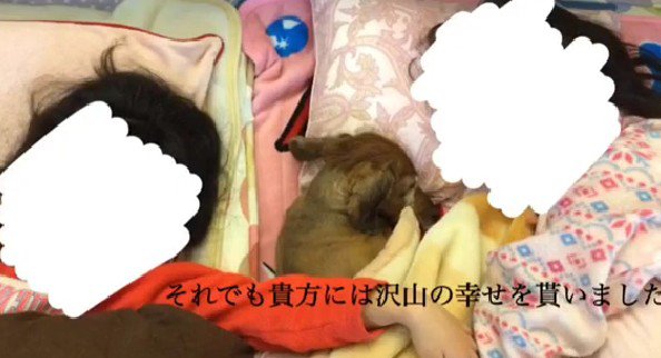 愛を注いでくれた