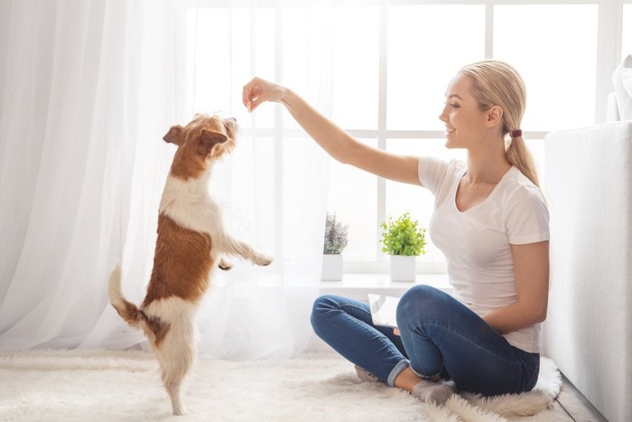 嬉しそうに立ち上がる犬