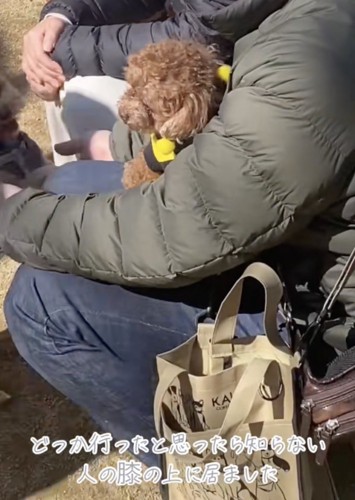 衝撃の光景でした