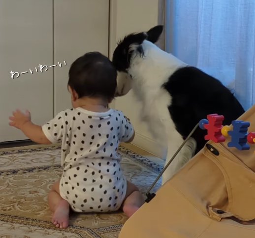 横を見る犬と赤ちゃんの後ろ姿