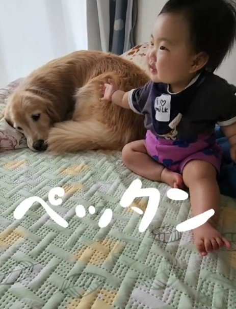 餅つきしてる…♪