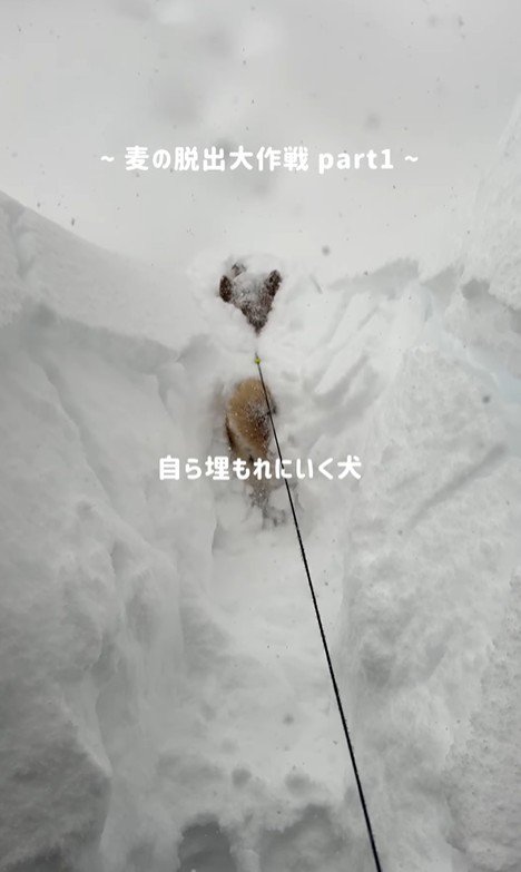 埋もれながら前進!