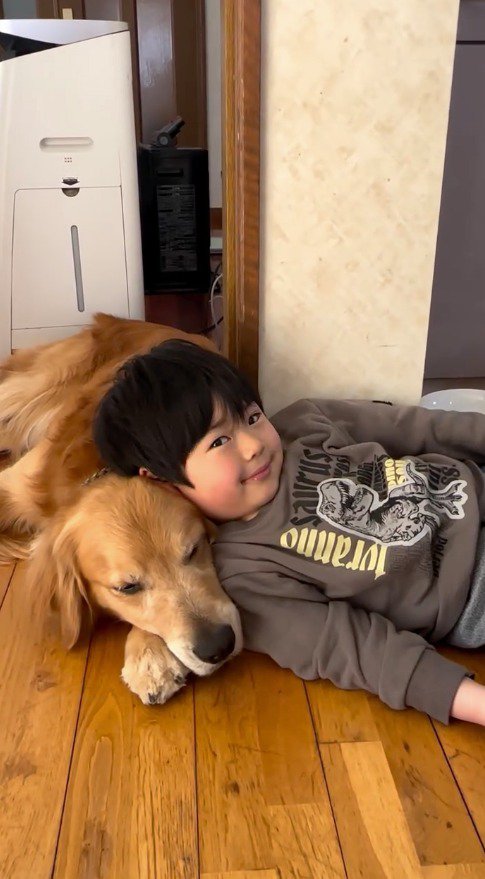 犬の顔に自分の頭を乗せる男の子