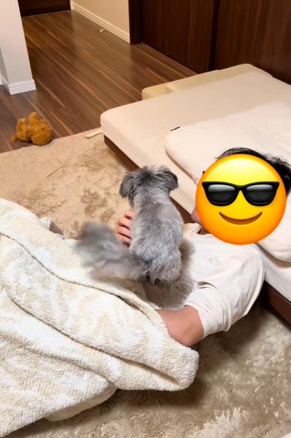 毛布の中から登場したパパとピーターくん