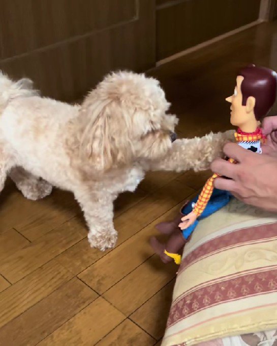 「あれ？」「なんで？」