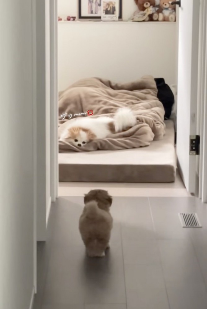 唸られてしまった…