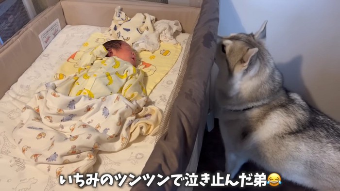 赤ちゃんのお世話に協力的