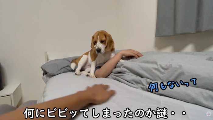 パパさんが何もいないことを確認
