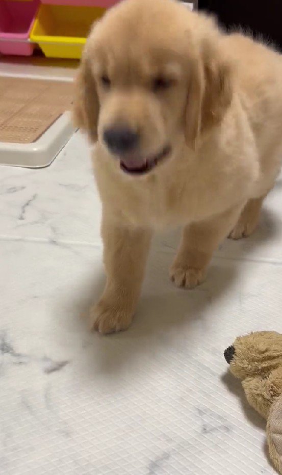 「今だ！」