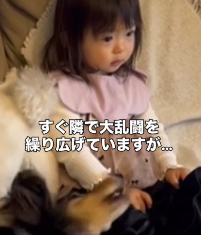 大乱闘している隣で…
