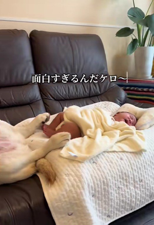 母性本能少なめかも…!