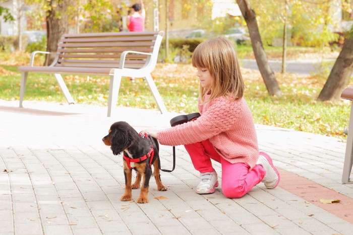 少女と赤いハーネスを着けた犬