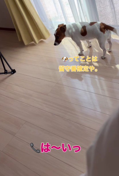 「てことは…留守番か」