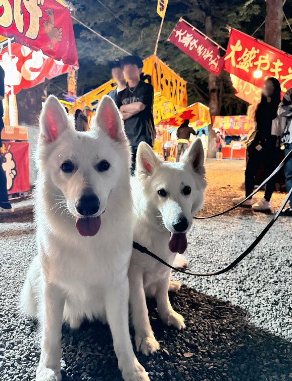 大型犬の親子
