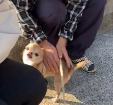 可愛すぎる♡