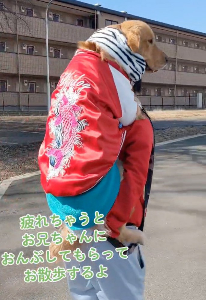 嬉しそうにおんぶされる犬