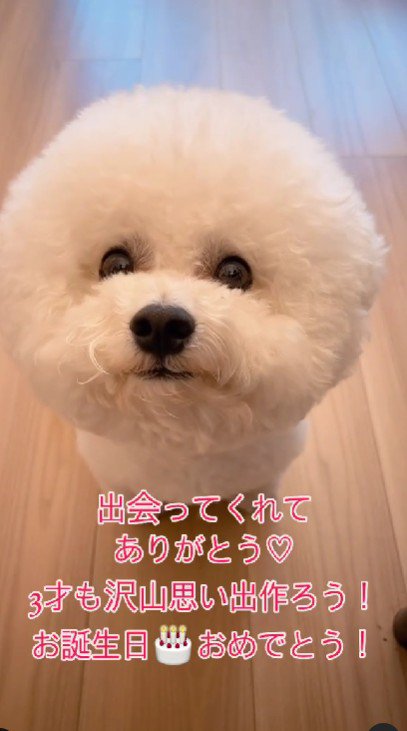お誕生日おめでとう！