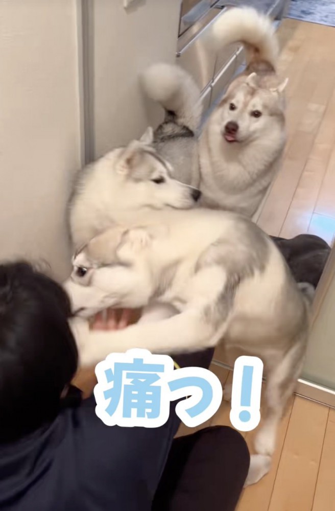 パンチが炸裂