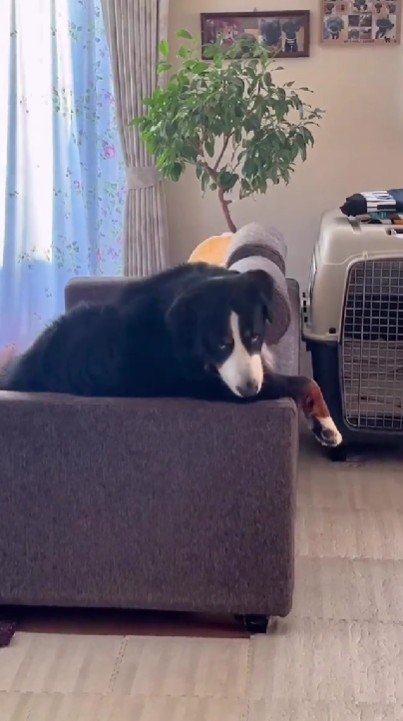 サラリーマンみたい！！