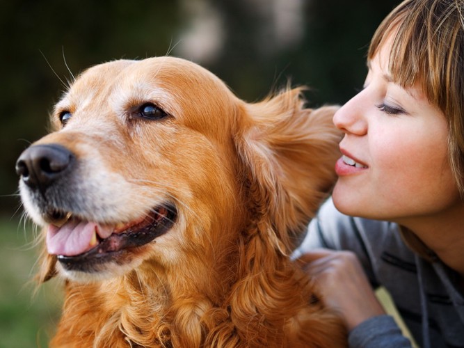 女性と犬