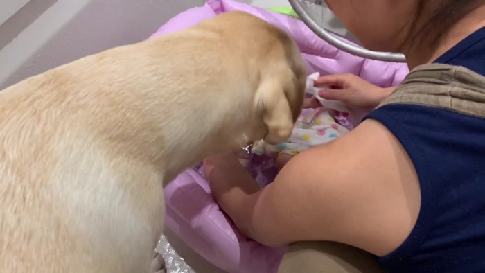 「赤ちゃん大丈夫？」