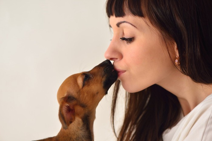 女性の口元を舐める犬