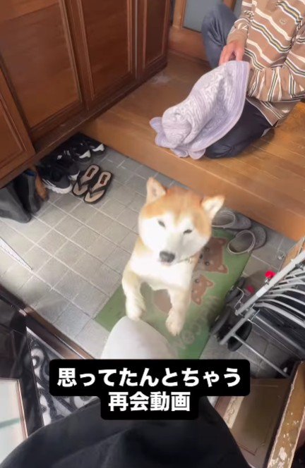 富士くんが出迎えるも…