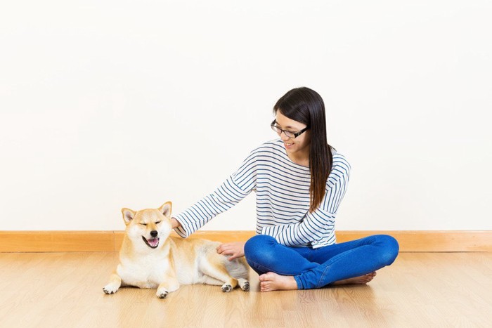 床にくつろぐ柴犬と女性