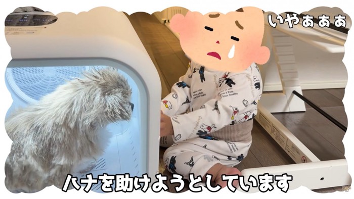 ハナちゃんの救出に失敗