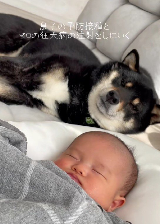 徐々に似てきた!?