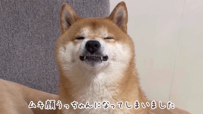 ムキ顔になってしまった…