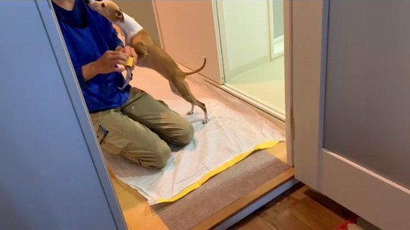 顔を近づけることちゃん