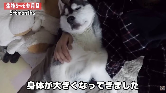 愛情を注がれて、すくすく成長